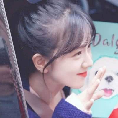 冰火人森林大冒险